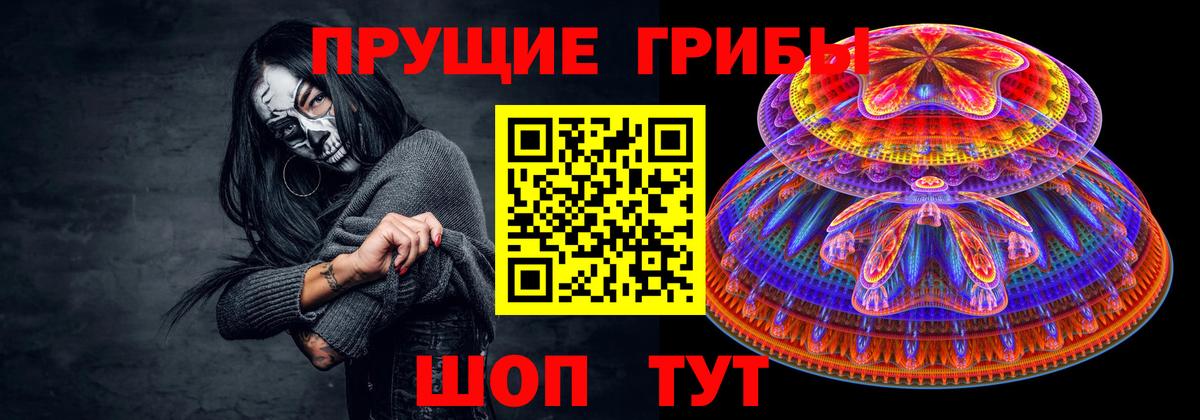 Астрахань  Галлюциногенные грибы Cubensis  Вход с VPN  Псилоцибиновые грибы мицелий 